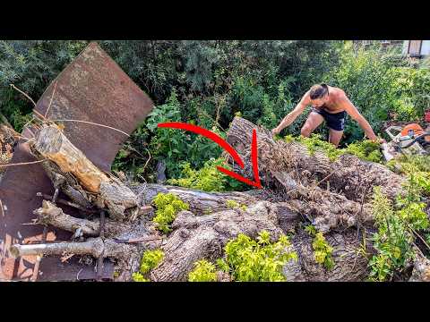 This is the most unbelievable find I ve ever seen inside a