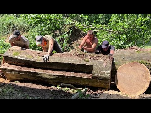 Abandoned Oak Log and Amazing Chainsaw Mill
