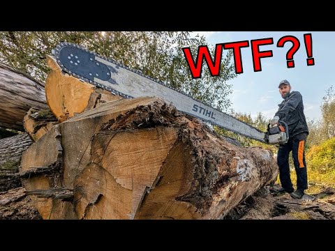 The Face in This Tree Stopped My Chainsaw WTF