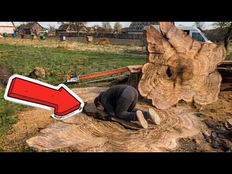 Unbelievable find inside an old stump