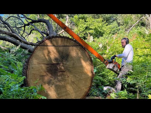 Extremely Dangerous Chainsaw Idiots