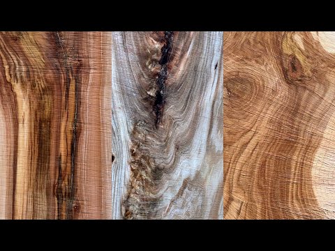 What s your favorite Ash Elm Oak