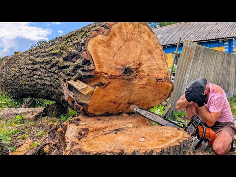 This Sawing Job Makes ZERO Sense You Won t Believe The