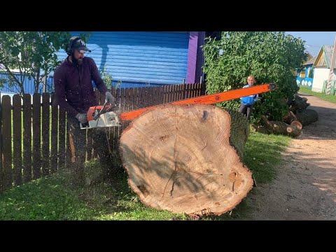 We are in shock This Chainsaw Bar cuts twice as fast