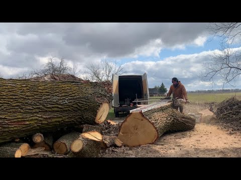 Шесть кубов дуба на слэбы за один день Часть 1