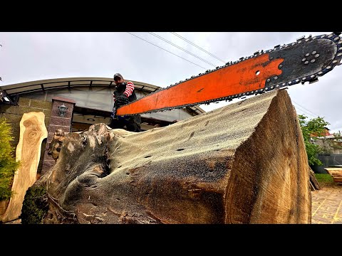 Opened up a huge Elm and here s what awaited us there