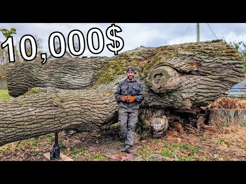 The 10 000 Log That Shocked Us
