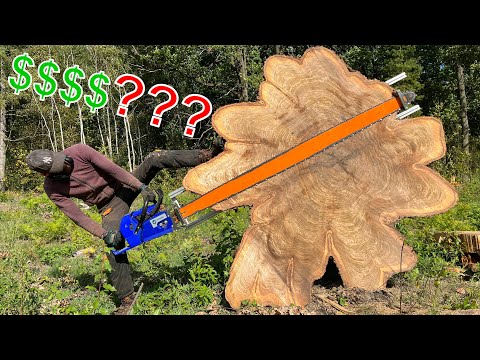 Amazing treasures rot in the ground