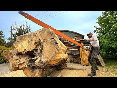 The Worlds Most Powerful Chainsaw vs The most beautiful elm
