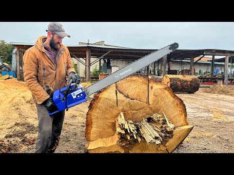 Holzfforma G888 vs big oak log
