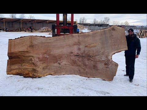 Штиль мс880 200см vs дуб Stihl ms880 200cm vs big oak log