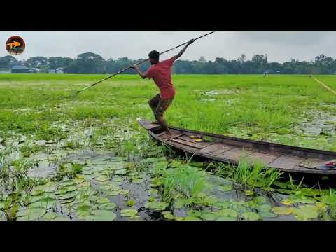 Unbelievable Jumping Fishing Technique From Boat Best Boat