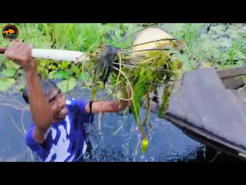 Unbelievable Jumping Fishing Technique Form Boat Best Boat