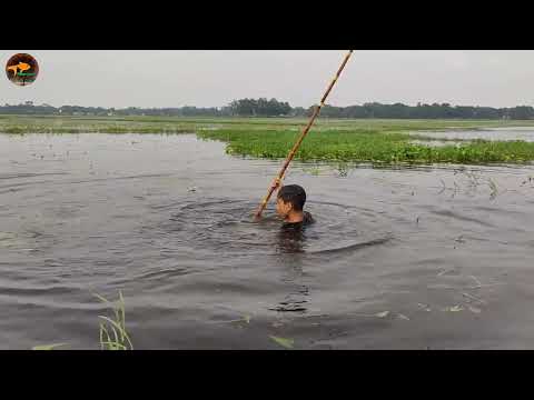 Amazing Fishing With Unique Fishing Skill Awesome Fly