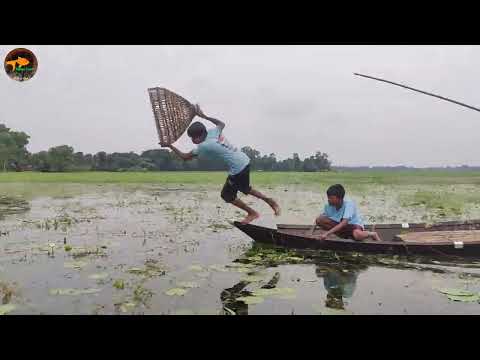 Amazing Village Expert Small Boy Jumping Boat Catching Lot