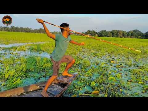 Unbelievable Catching Fish from Boat Fishing In The Flood