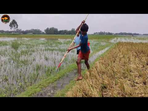 Best Fishing Unique Professional Small Boys Bamboo Tools