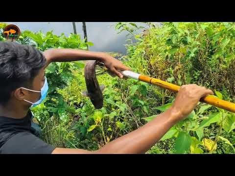 Unbelievable Fishing Technique Bamboo Crossbow Fishing Vs