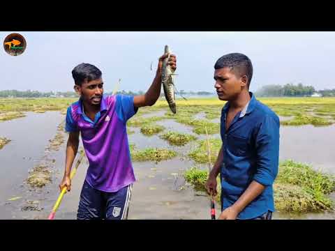 Unbelievable Jumping Fishing Technique Best Group Fishing