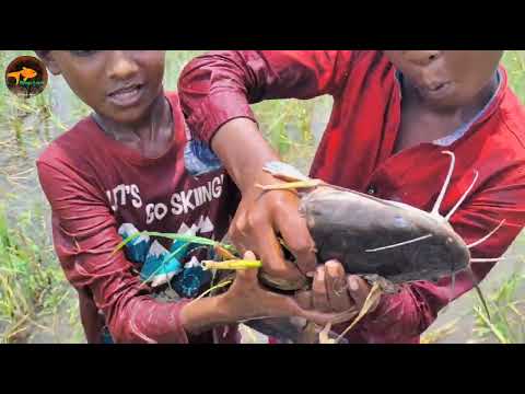 Unbelievable Kids Fishing Video Kids Hand Fishing Video