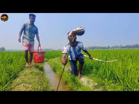 Expert Boy Catching Big Fish With Crossbow Best Bamboo