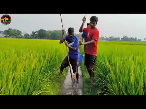 Best Unique Fishing technique Unbelievable Drean Fishing