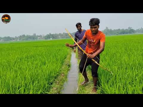 Unbelievable Bamboo Crossbow Fishing Technique Bow Fishing