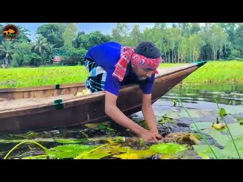 Amazing Village Fisherman Catching Big Fish Using Koch With