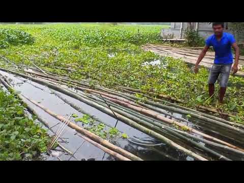 fishing ট ট দ য় ম ছ শ ক র র অস ধ রন ভ ড ও the best unique