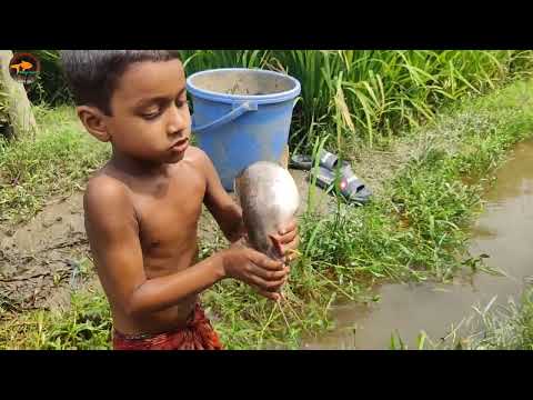 Unique Best Smart Boy Hand Fishing In Drean Amazing Village