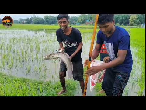 Best Unique Fishing technique Unbelievable Drean Fishing