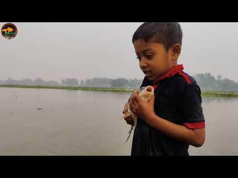 Best Small Boy Hand Fishing Video Amazing Village Small Boy
