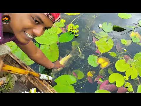 Unique Best Bowfishing From Boat ট ট দ য় ম ছ শ ক র Bamboo