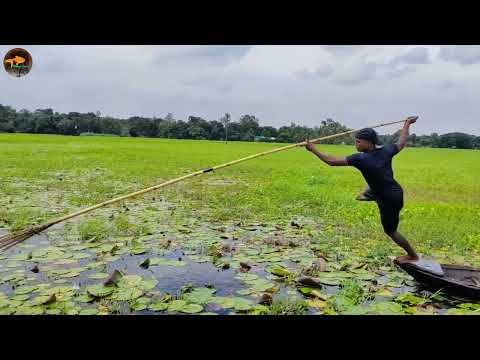 Big Fish Hunting In Flood Waters বন য র প ন ত ল ফ য ট ট দ য়
