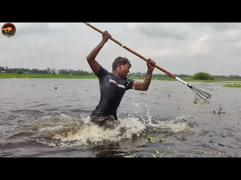 Really Amazing Village Boy Jumping Boat Fishing In Big Pond