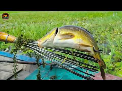 Amazing 2 Little Boy Catching Big Fish From Boat