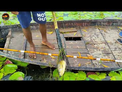 Best Village Fishing Method Village Natural Fishing Moment