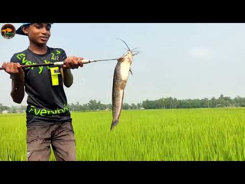 Best Drain Fishing Amazing Village Small Boys Catching Big
