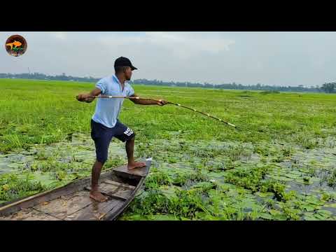 Great Spearfishing Form Boat Fish Catching Useing Teta