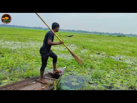 Unique Best Bowfishing From Boat Best Jumping Fishing