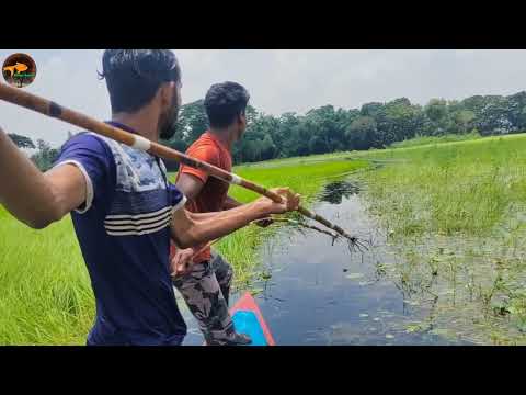Unbelievable Big Fish Catching From Boat Fast Trap Can a