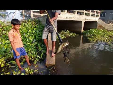 Fishing Big Boal Fish hunting with Teta প র চ ন উপ য় ট ট দ