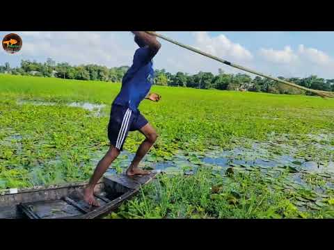 Best Bowfishing From Boat Best Fishing Moments Compilation