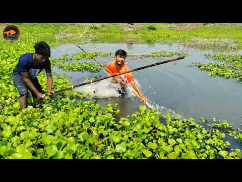 Best Fishing Spearfishing Catch Big Fish The First Trap Can