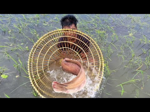 Unbelievable Polo Fishing Video Natural Polo Fishing