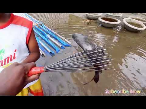 বন য র প ন ত র স ত য ভ স ওঠ অব শ ব স য ম ছ শ ক র Best road