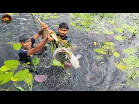 Unique Best Bowfishing From Boat Best Boat Fishing Bamboo