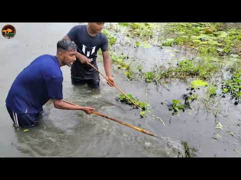 Unbelievable Big Carf Fish Hunting Form Pond Amazing 2 Boy