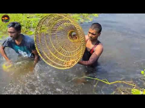 Unique Best Fish Trapping System Polo Fishing With Bamboo