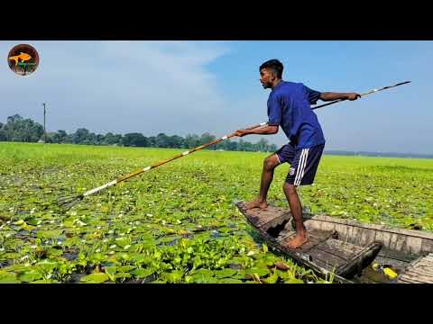 Best Boat Fishing With Awesome Location Best Spearfishing